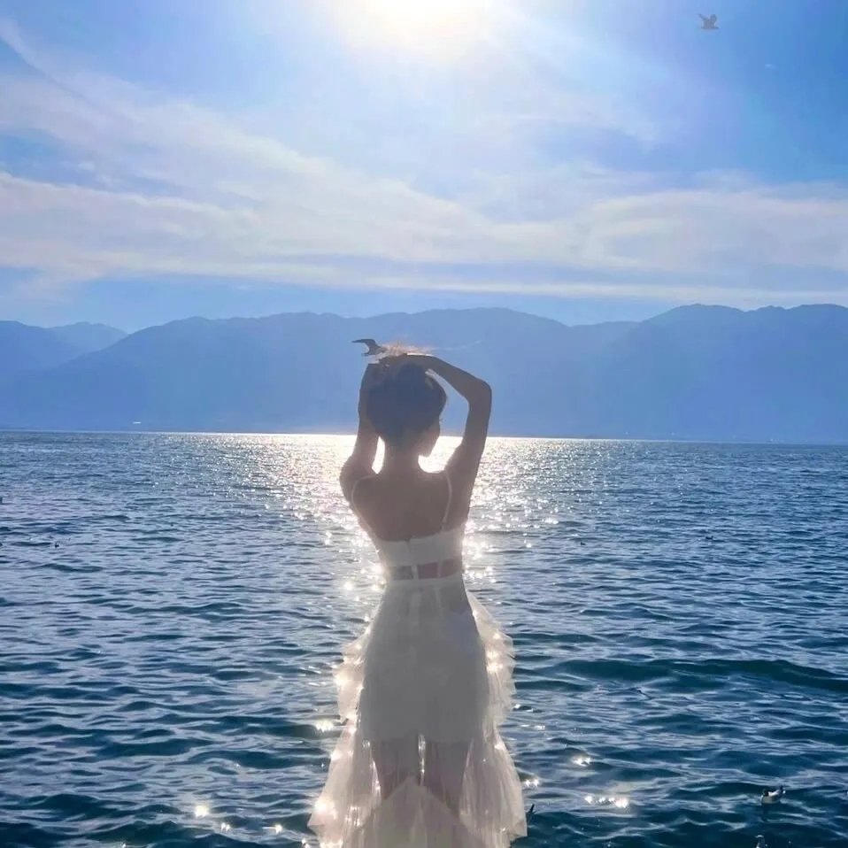 可惜不是你海报
